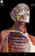 Essential Anatomy 3
