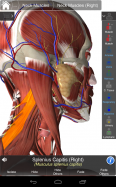 Essential Anatomy 3