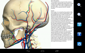 Visual Anatomy