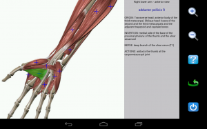 Visual Anatomy