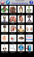 Visual Anatomy