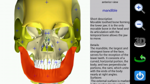 Visual Anatomy
