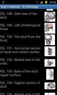 Visual Anatomy