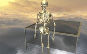 BodyDisasm