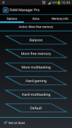 RAM Manager Pro