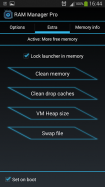 RAM Manager Pro