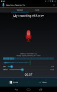 Easy Voice Recorder Pro