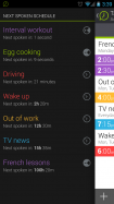 Talking Clock Pro
