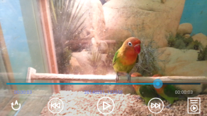 Folder Video Player - PRO