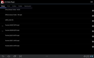 FLV Video Player