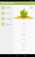 Amber Money - Expense Manager