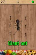 Ant Smasher, Best Free Game