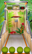Basketball Mania